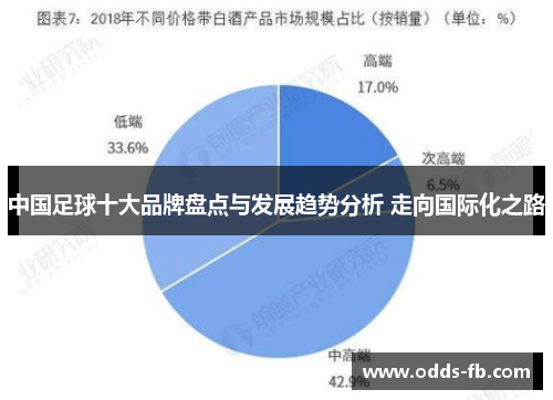 中国足球十大品牌盘点与发展趋势分析 走向国际化之路