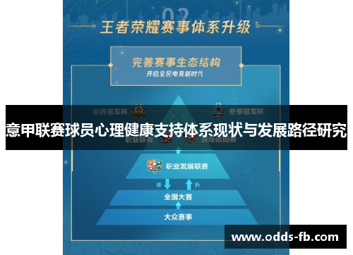 意甲联赛球员心理健康支持体系现状与发展路径研究