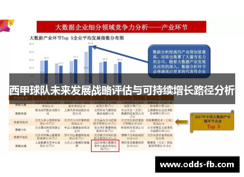 西甲球队未来发展战略评估与可持续增长路径分析