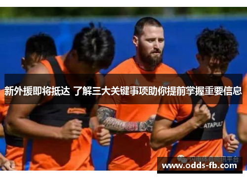 新外援即将抵达 了解三大关键事项助你提前掌握重要信息