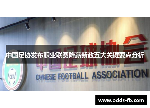 中国足协发布职业联赛降薪新政五大关键要点分析