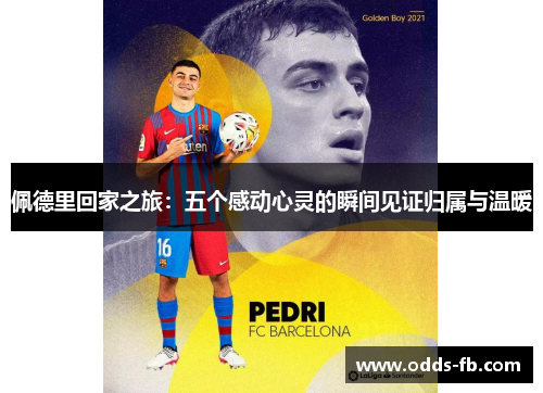 佩德里回家之旅：五个感动心灵的瞬间见证归属与温暖