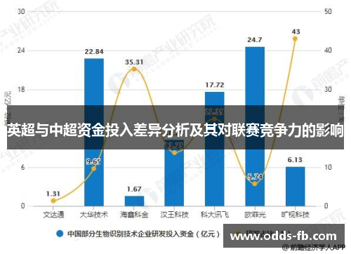 英超与中超资金投入差异分析及其对联赛竞争力的影响