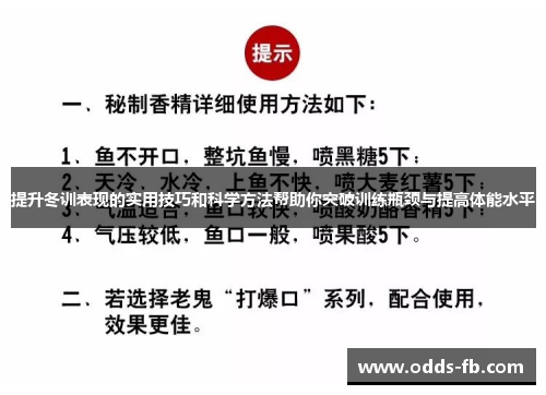 提升冬训表现的实用技巧和科学方法帮助你突破训练瓶颈与提高体能水平