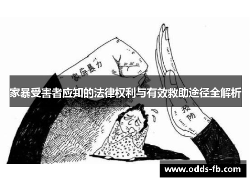 家暴受害者应知的法律权利与有效救助途径全解析