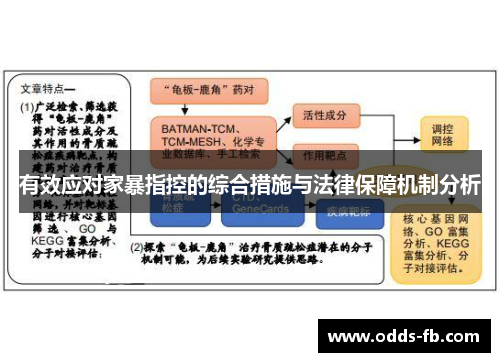 有效应对家暴指控的综合措施与法律保障机制分析