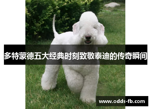 多特蒙德五大经典时刻致敬泰迪的传奇瞬间