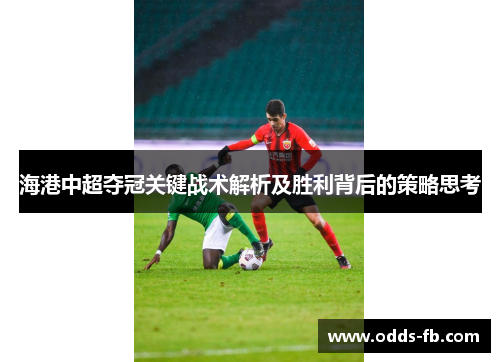 海港中超夺冠关键战术解析及胜利背后的策略思考