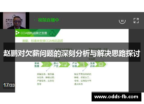 赵鹏对欠薪问题的深刻分析与解决思路探讨
