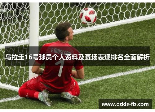 乌拉圭16号球员个人资料及赛场表现排名全面解析