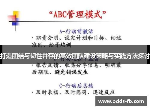打造团结与韧性并存的高效团队建设策略与实践方法探讨